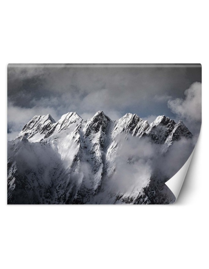 Inspirational wall murals - Mountain winter landscape | FEEBY