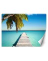 Living room wall mural - Tropical beach palm trees nature | FEEBY