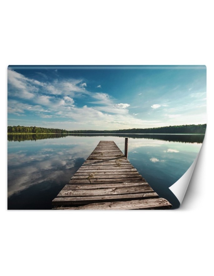 Unique wall murals - View from a pier overlooking a lake and forest | FEEBY