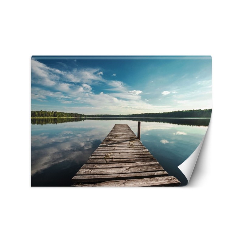 Unique wall murals - View from a pier overlooking a lake and forest | FEEBY