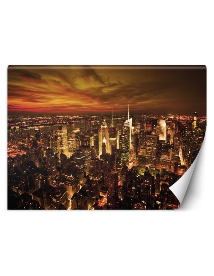 Modern murals for the living room - New York Manhattan | FEEBY