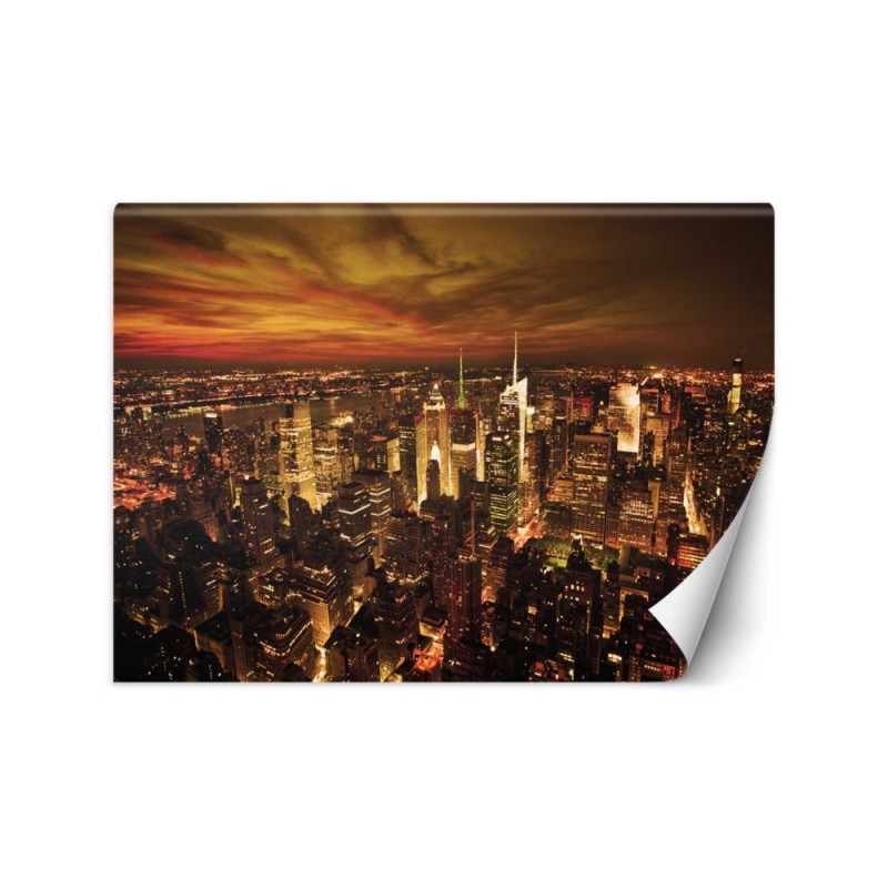 Modern murals for the living room - New York Manhattan | FEEBY