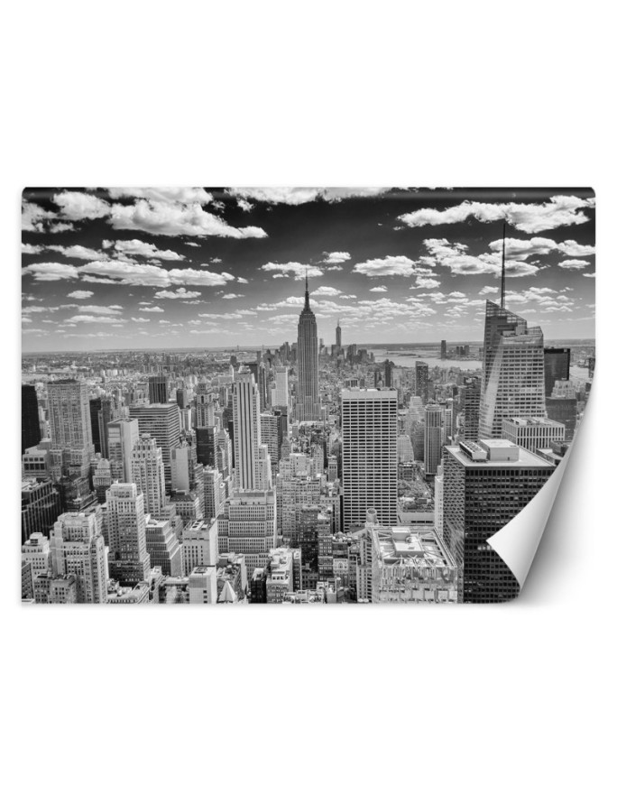 Architectural Wallpapers - Manhattan skyline | FEEBY