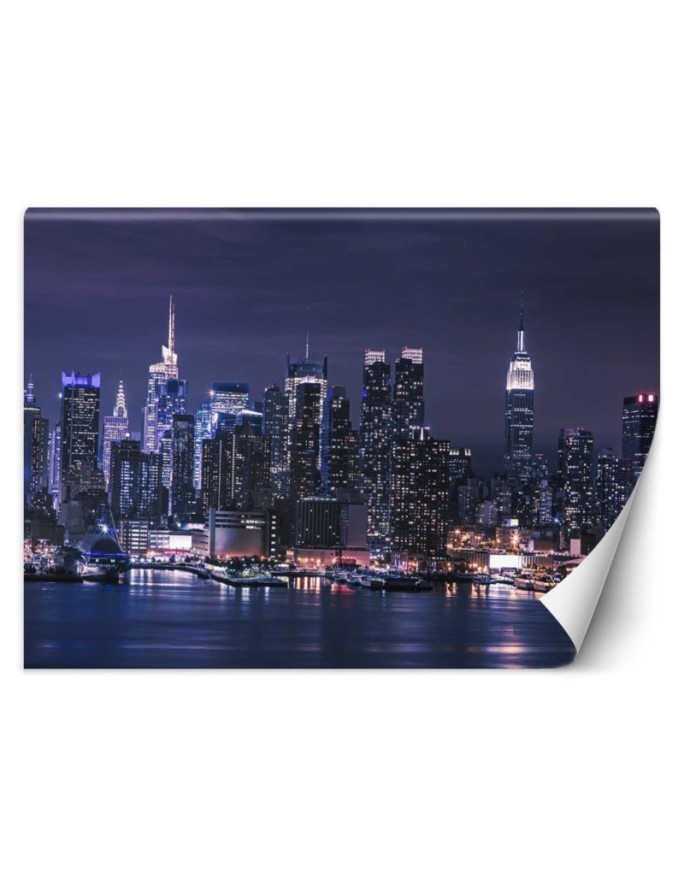 Modern murals for the living room - New York at night | FEEBY