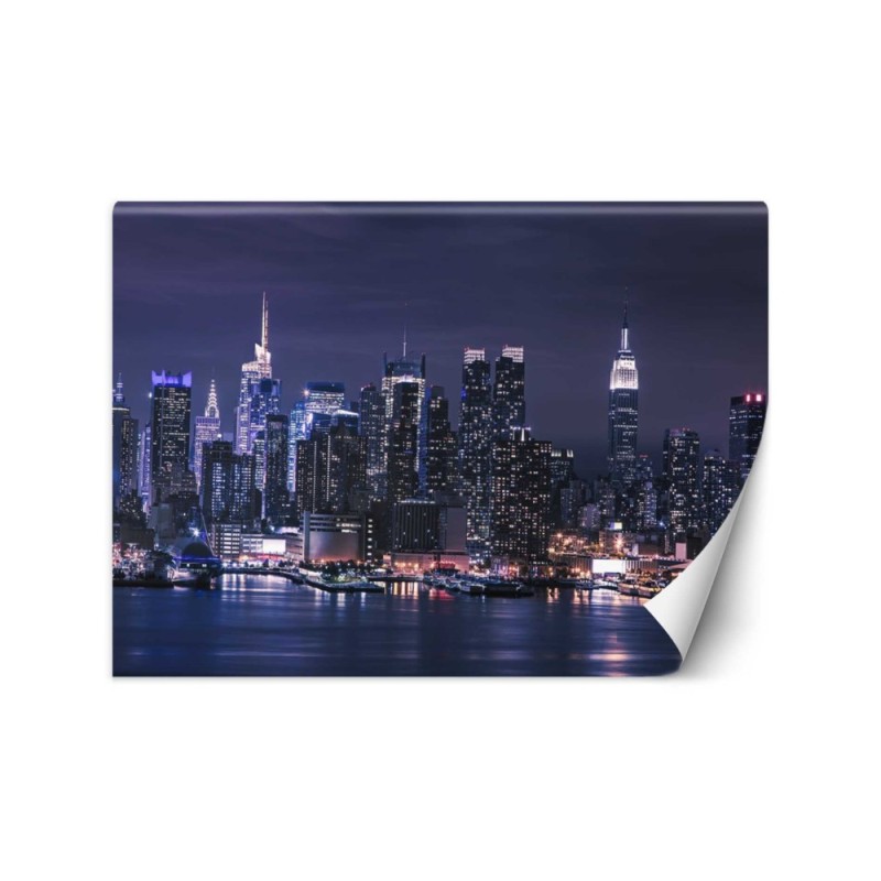 Modern murals for the living room - New York at night | FEEBY