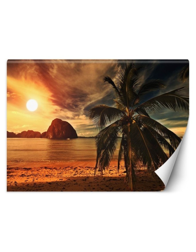 Exotic Wallpapers - Sea palm trees sunset | FEEBY