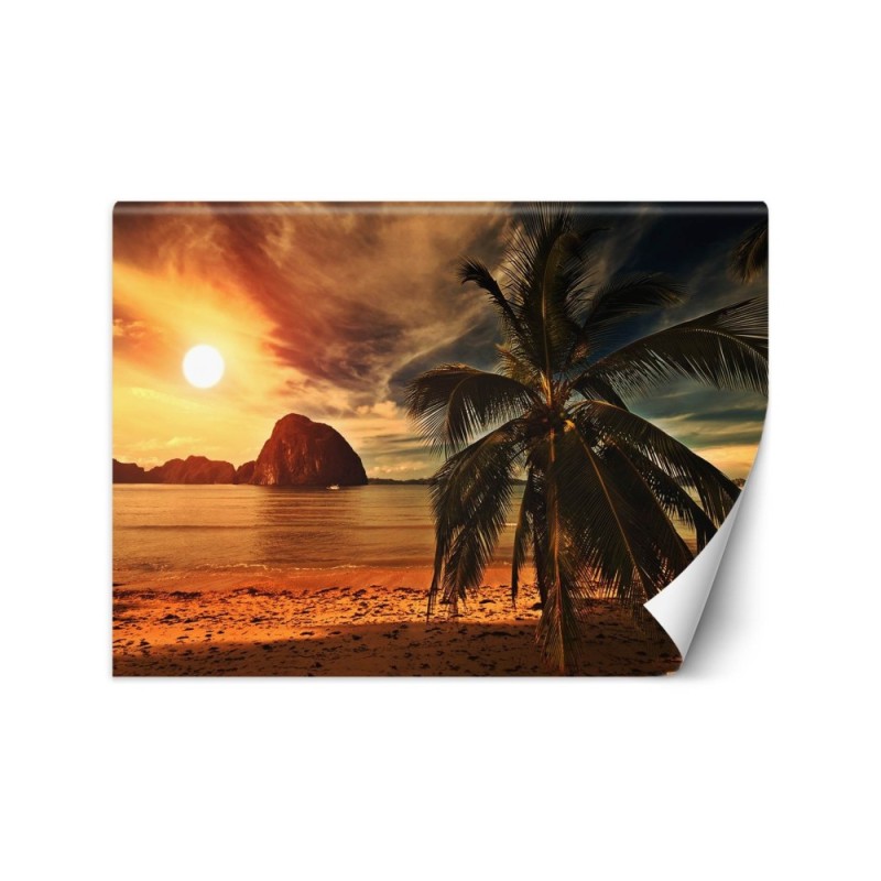 Exotic Wallpapers - Sea palm trees sunset | FEEBY