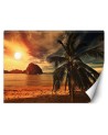 Exotic Wallpapers - Sea palm trees sunset | FEEBY
