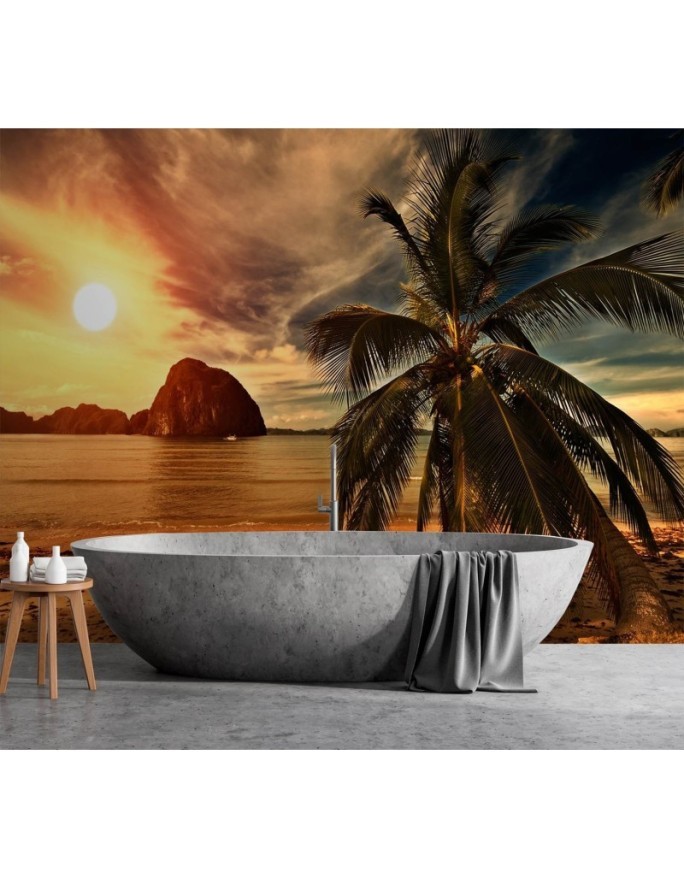 Exotic Wallpapers - Sea palm trees sunset | FEEBY
