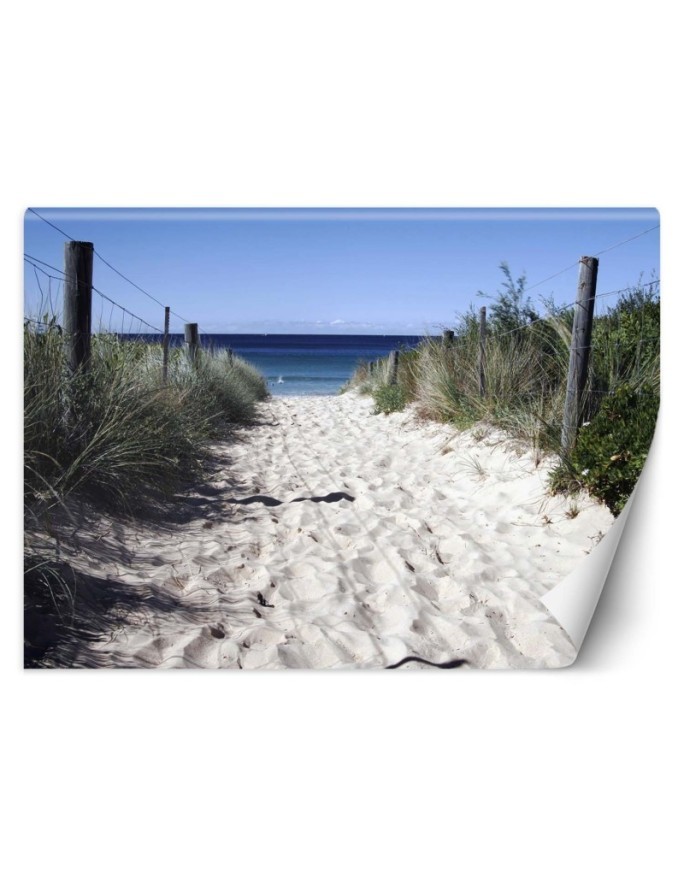 Wall mural - Road to the beach sand dunes | FEEBY
