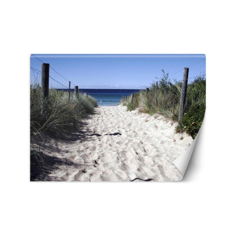 Wall mural - Road to the beach sand dunes | FEEBY