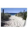 Wall mural - Road to the beach sand dunes | FEEBY