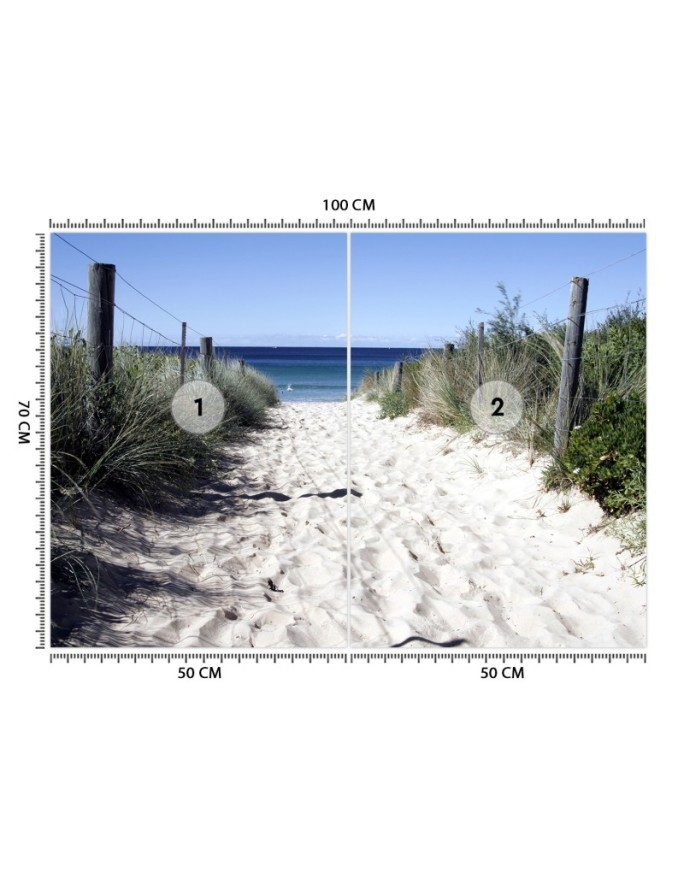 Wall mural - Road to the beach sand dunes | FEEBY