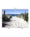 Wall mural - Road to the beach sand dunes | FEEBY