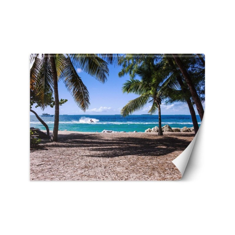 Wall mural - Sand beach between palm trees | FEEBY