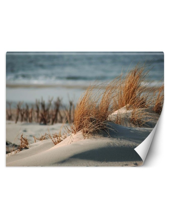 The most fashionable wall murals - Dunes on the Baltic Sea | FEEBY