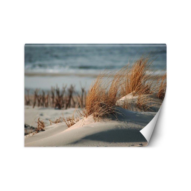 The most fashionable wall murals - Dunes on the Baltic Sea | FEEBY