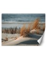 The most fashionable wall murals - Dunes on the Baltic Sea | FEEBY