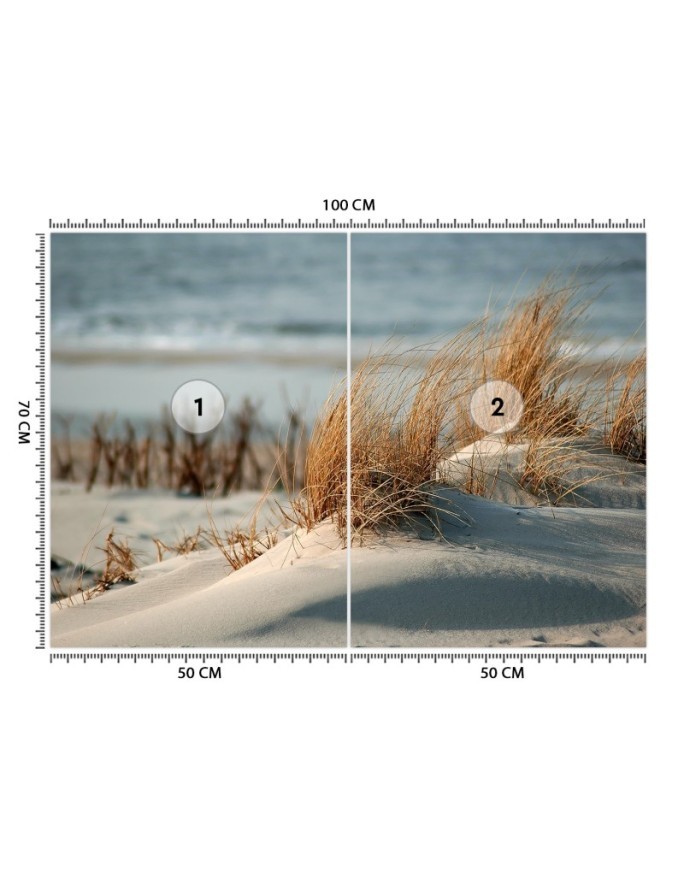 The most fashionable wall murals - Dunes on the Baltic Sea | FEEBY