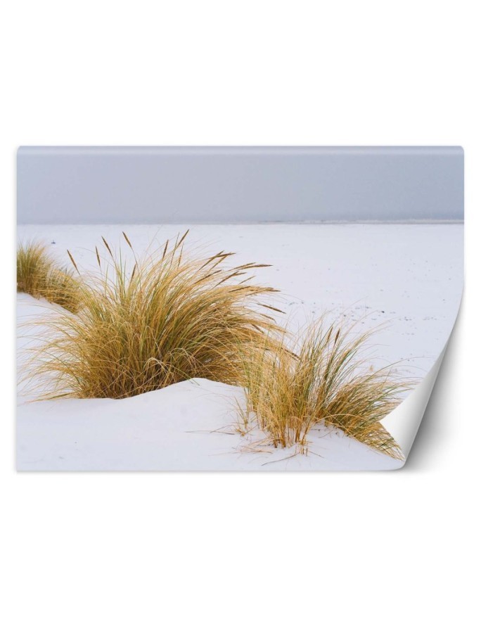 Wall mural - Dunes on golden sand | FEEBY