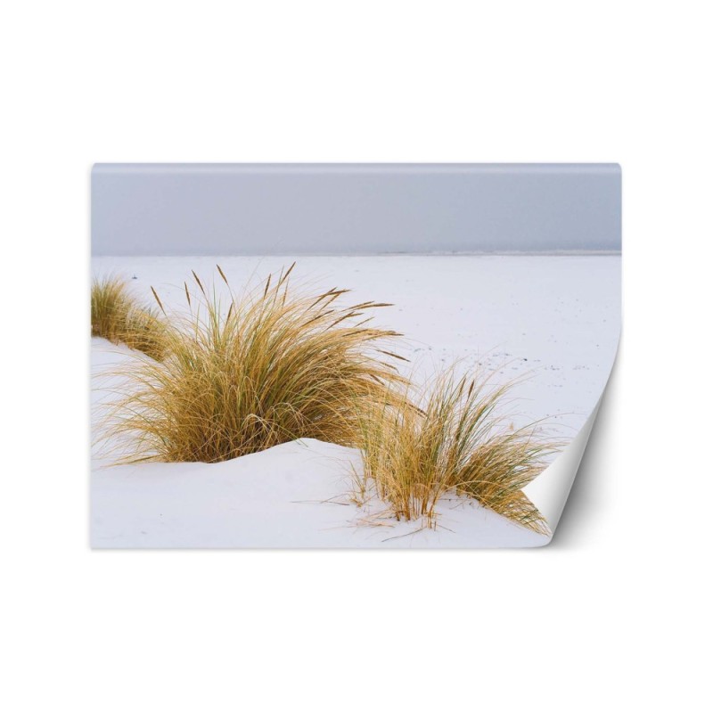 Wall mural - Dunes on golden sand | FEEBY