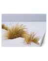 Wall mural - Dunes on golden sand | FEEBY