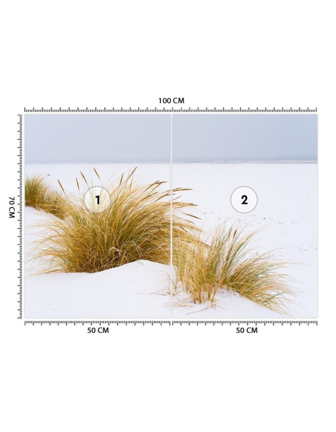 Wall mural - Dunes on golden sand | FEEBY