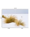 Wall mural - Dunes on golden sand | FEEBY