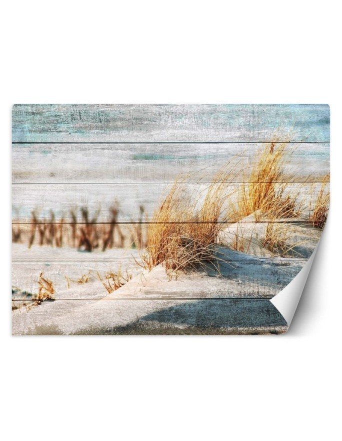 Unique wall murals - Dunes beach on wood | FEEBY