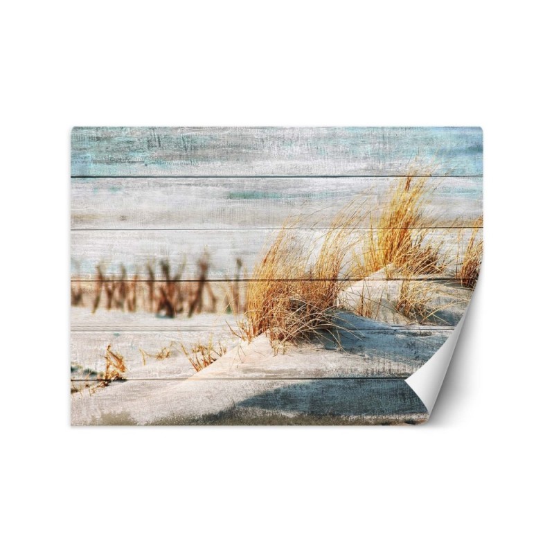 Unique wall murals - Dunes beach on wood | FEEBY