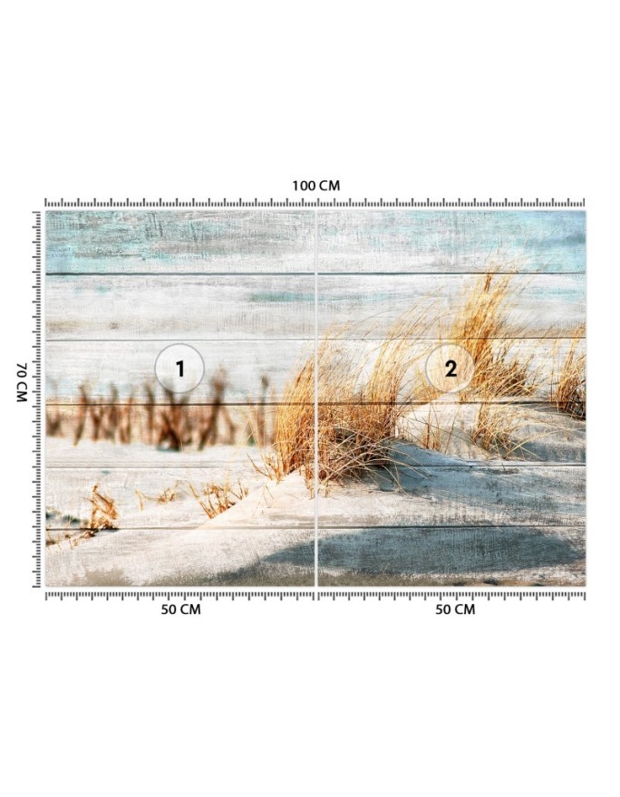 Unique wall murals - Dunes beach on wood | FEEBY