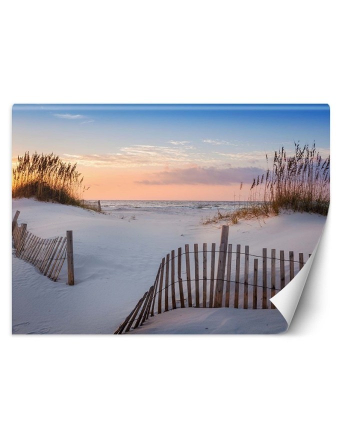 Beautiful wall mural - Beach on the Baltic Sea | FEEBY
