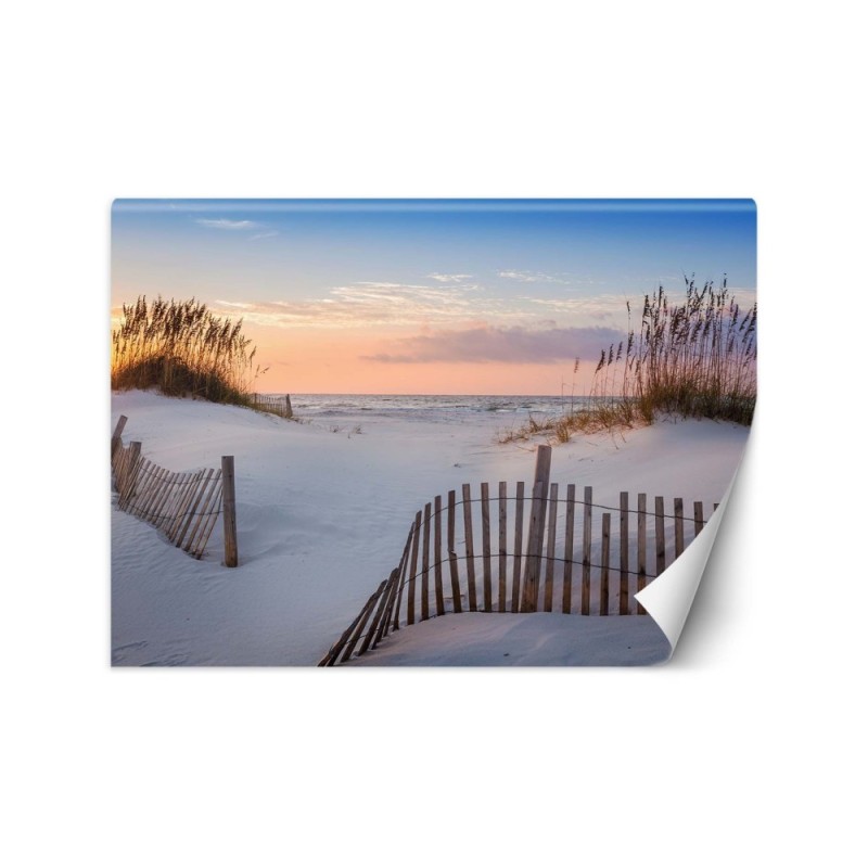 Beautiful wall mural - Beach on the Baltic Sea | FEEBY