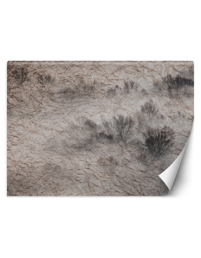 Modern living room wall mural - Meadow in the mist | FEEBY