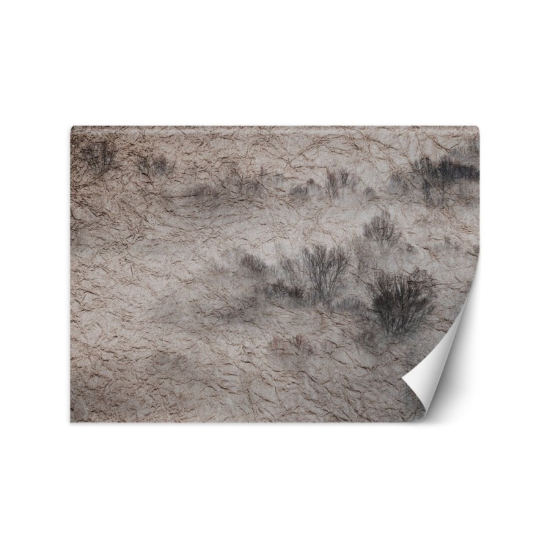 Modern living room wall mural - Meadow in the mist | FEEBY