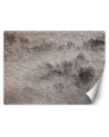 Modern living room wall mural - Meadow in the mist | FEEBY