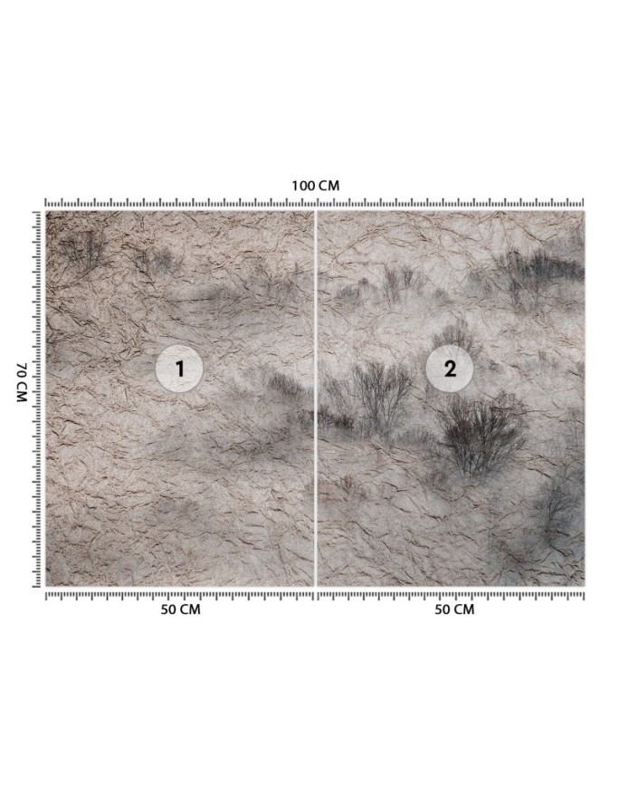 Modern living room wall mural - Meadow in the mist | FEEBY