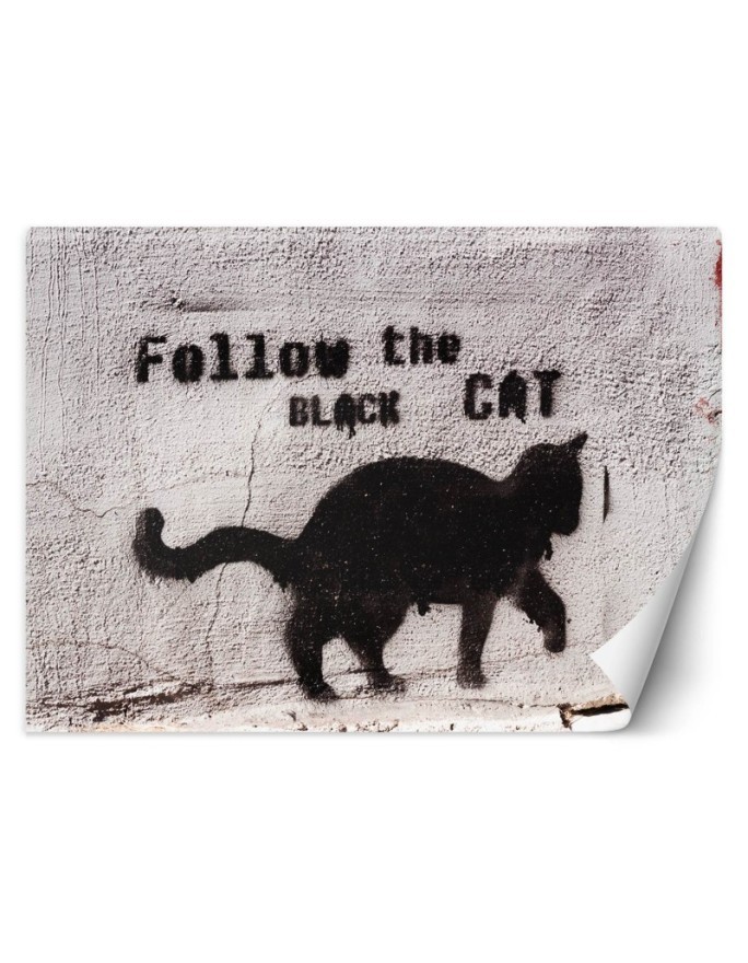 Most fashionable wall mural - Black cat follow the black cat concrete | FEEBY