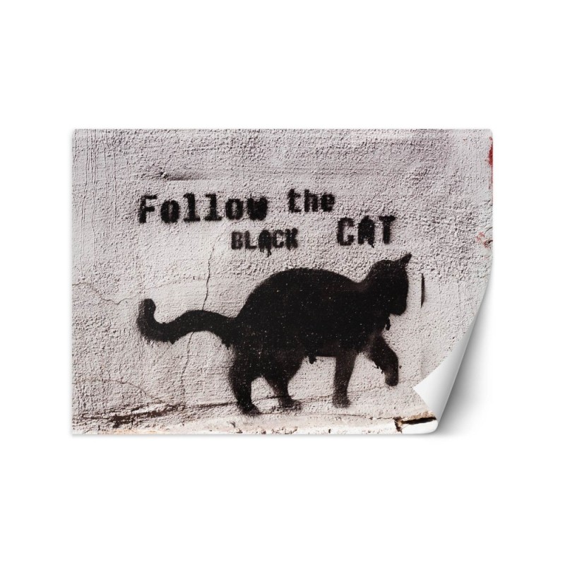 Most fashionable wall mural - Black cat follow the black cat concrete | FEEBY