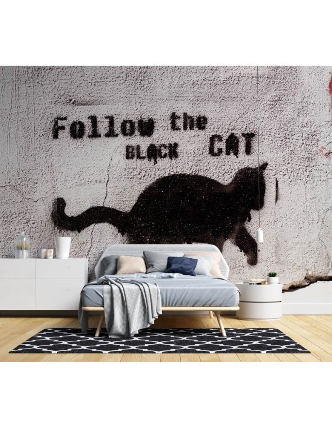 Most fashionable wall mural - Black cat follow the black cat concrete | FEEBY
