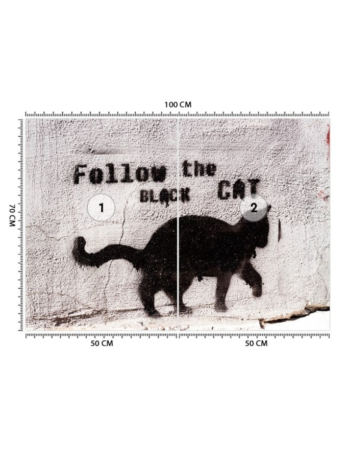 Most fashionable wall mural - Black cat follow the black cat concrete | FEEBY