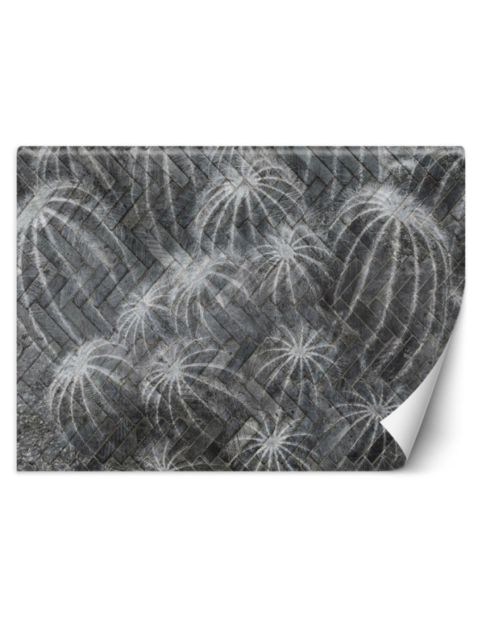 Exclusive Wallpapers - Cacti in grey | FEEBY