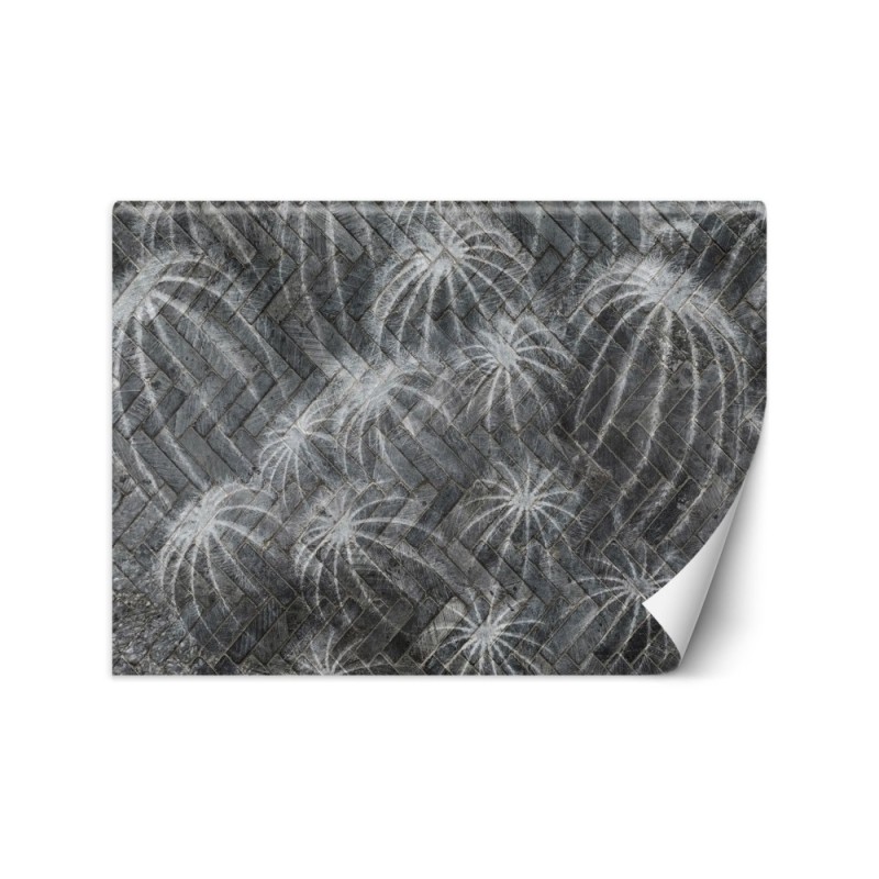Exclusive Wallpapers - Cacti in grey | FEEBY