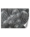 Exclusive Wallpapers - Cacti in grey | FEEBY