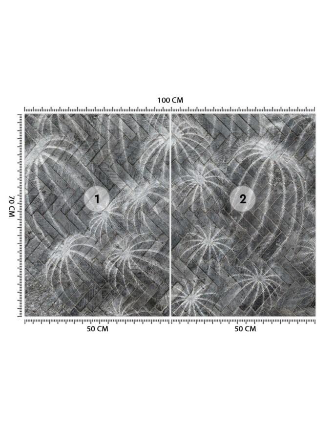 Exclusive Wallpapers - Cacti in grey | FEEBY