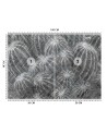 Exclusive Wallpapers - Cacti in grey | FEEBY