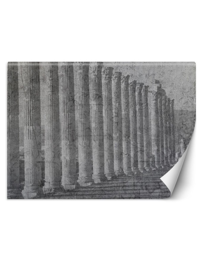 Stylish Wallpapers for the living room - Antique columns | FEEBY