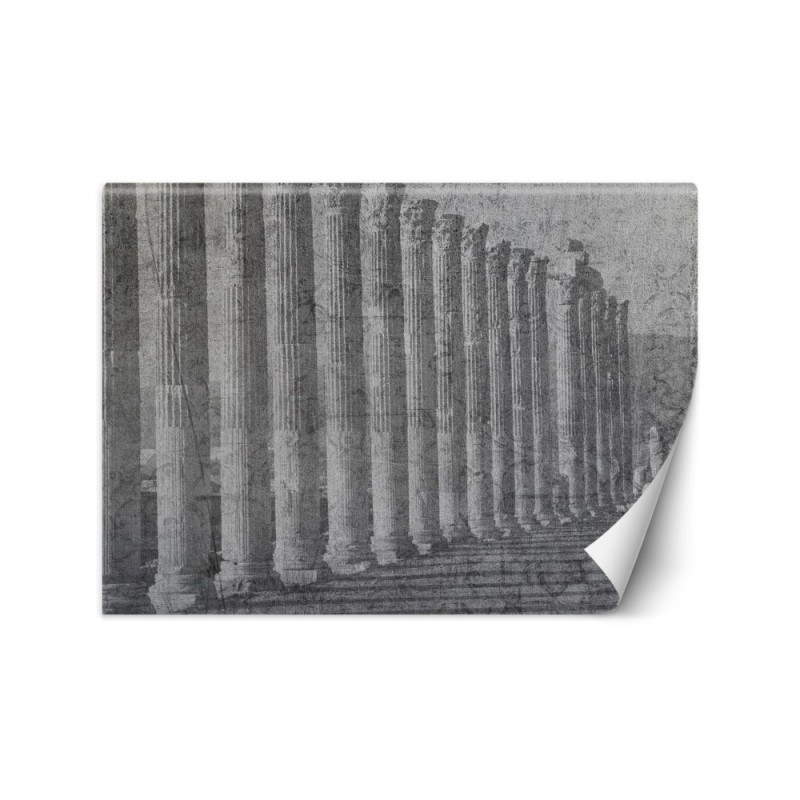 Stylish Wallpapers for the living room - Antique columns | FEEBY