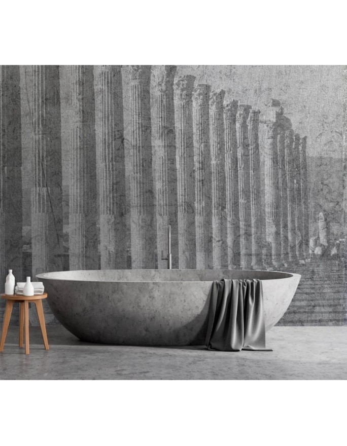 Stylish Wallpapers for the living room - Antique columns | FEEBY