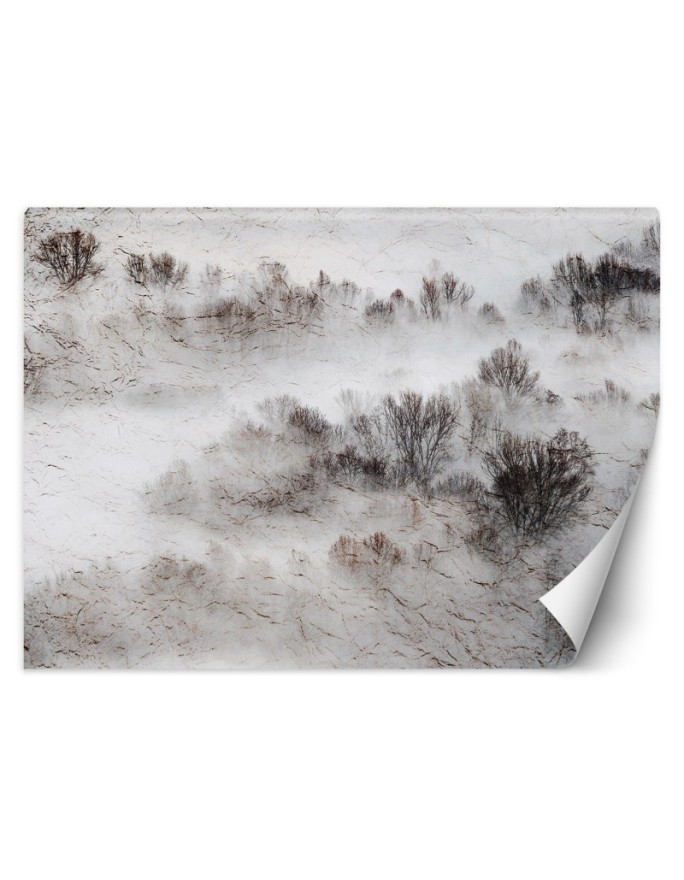 The most fashionable Wallpapers for the living room - Meadow mist trees | FEEBY